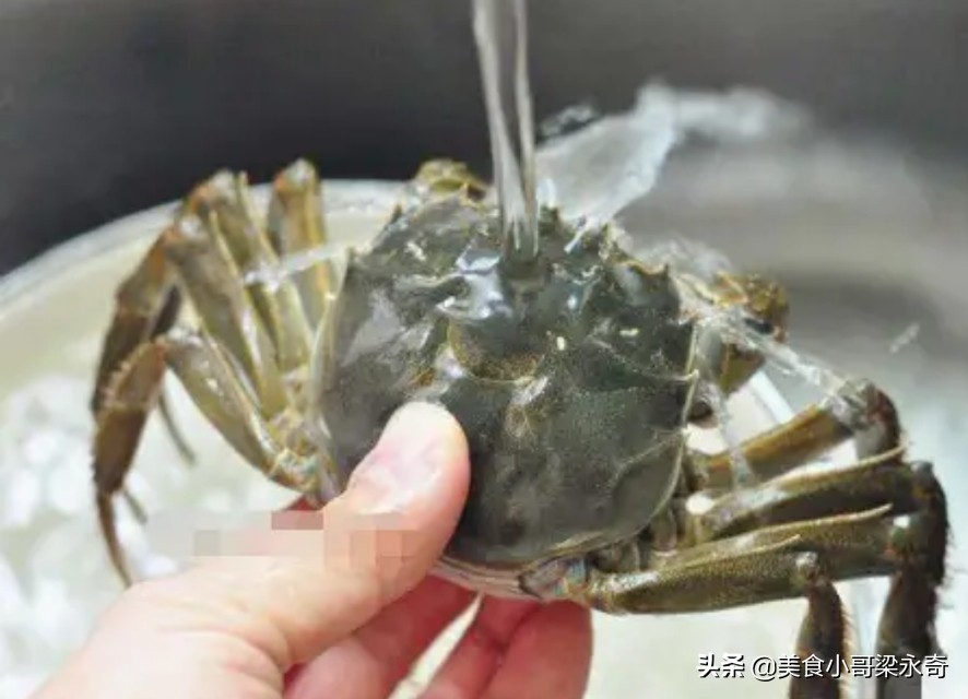 蟹肉蒸螃蟹最正确做法,蒸螃蟹的正确做法简单又好吃