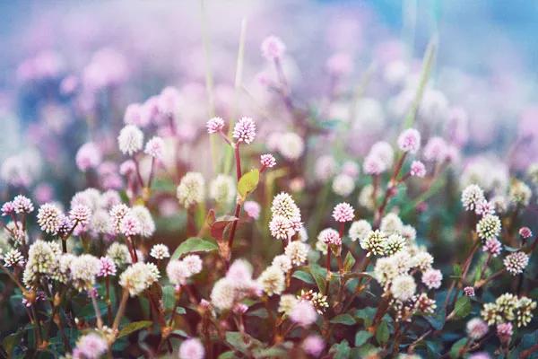 一川山海，春近冬暮