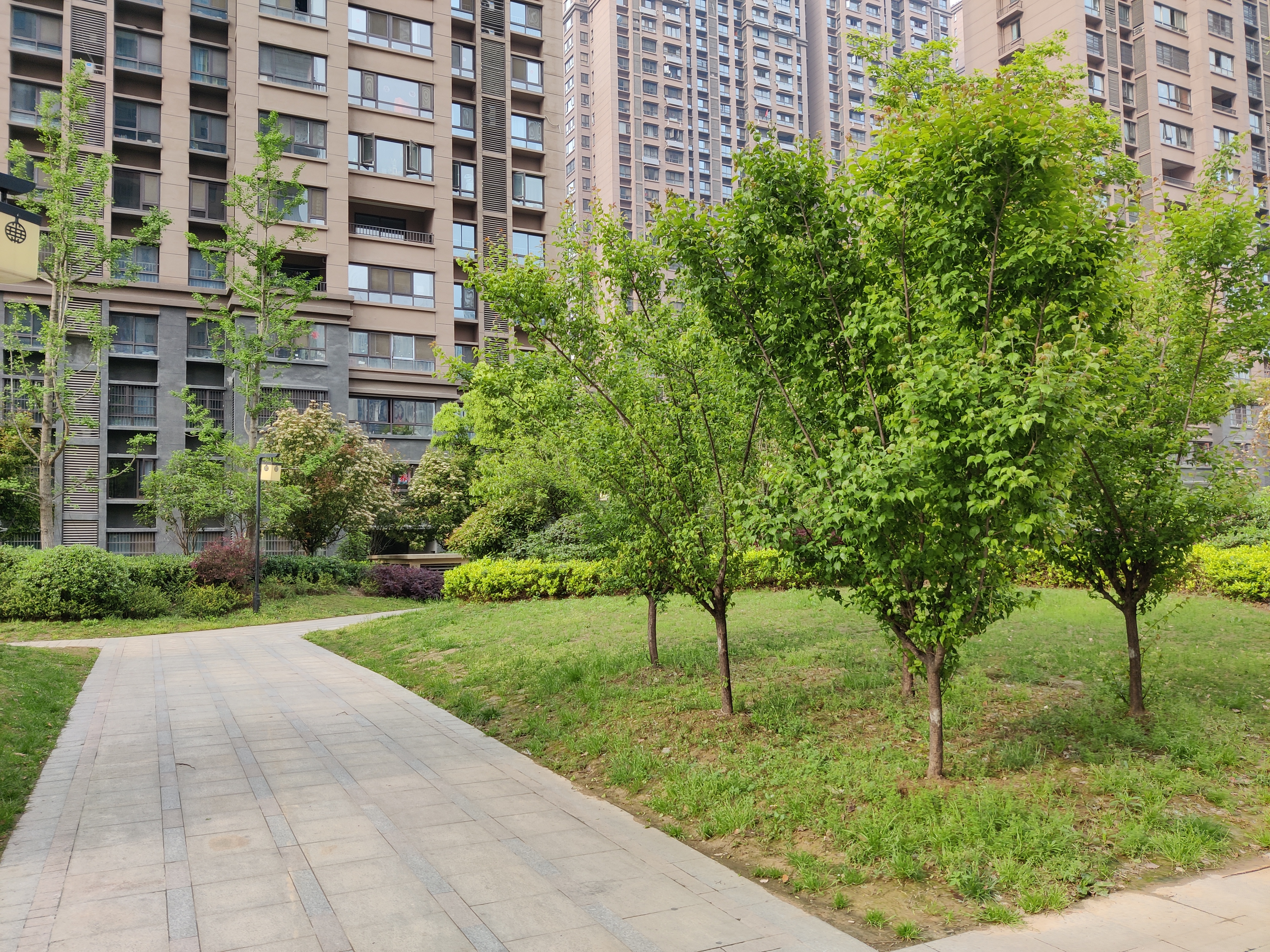 碧桂园时代城和融创哪个值得买,碧桂园时代城和九鼎华府选哪个