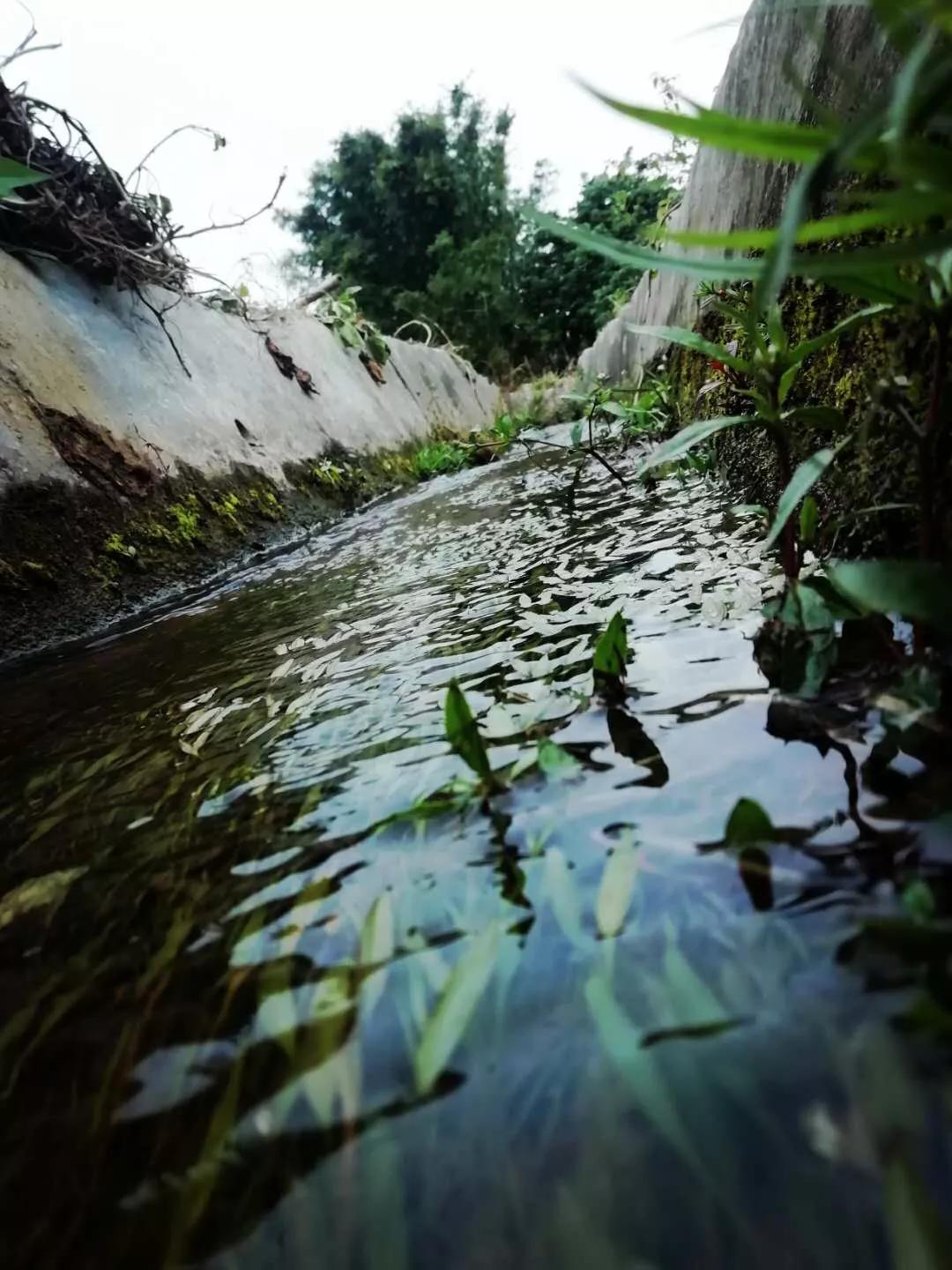 手拍世界摄影网,手拍世界完整版视频