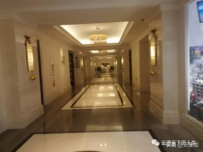 从湛江到海口火车,湛江到海口火车过海视频