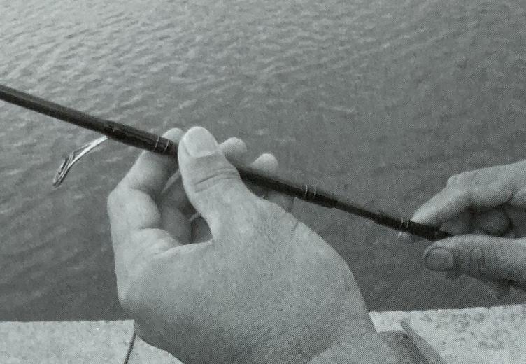 海钓路亚书籍,钓鱼路亚教程野钓全攻略