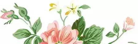 鍛ㄧ堪娑堥槻鐩存挱瑙嗛,鍛ㄧ堪瀹垮悏鍗椾竴绾ф秷闃插伐绋嬪笀