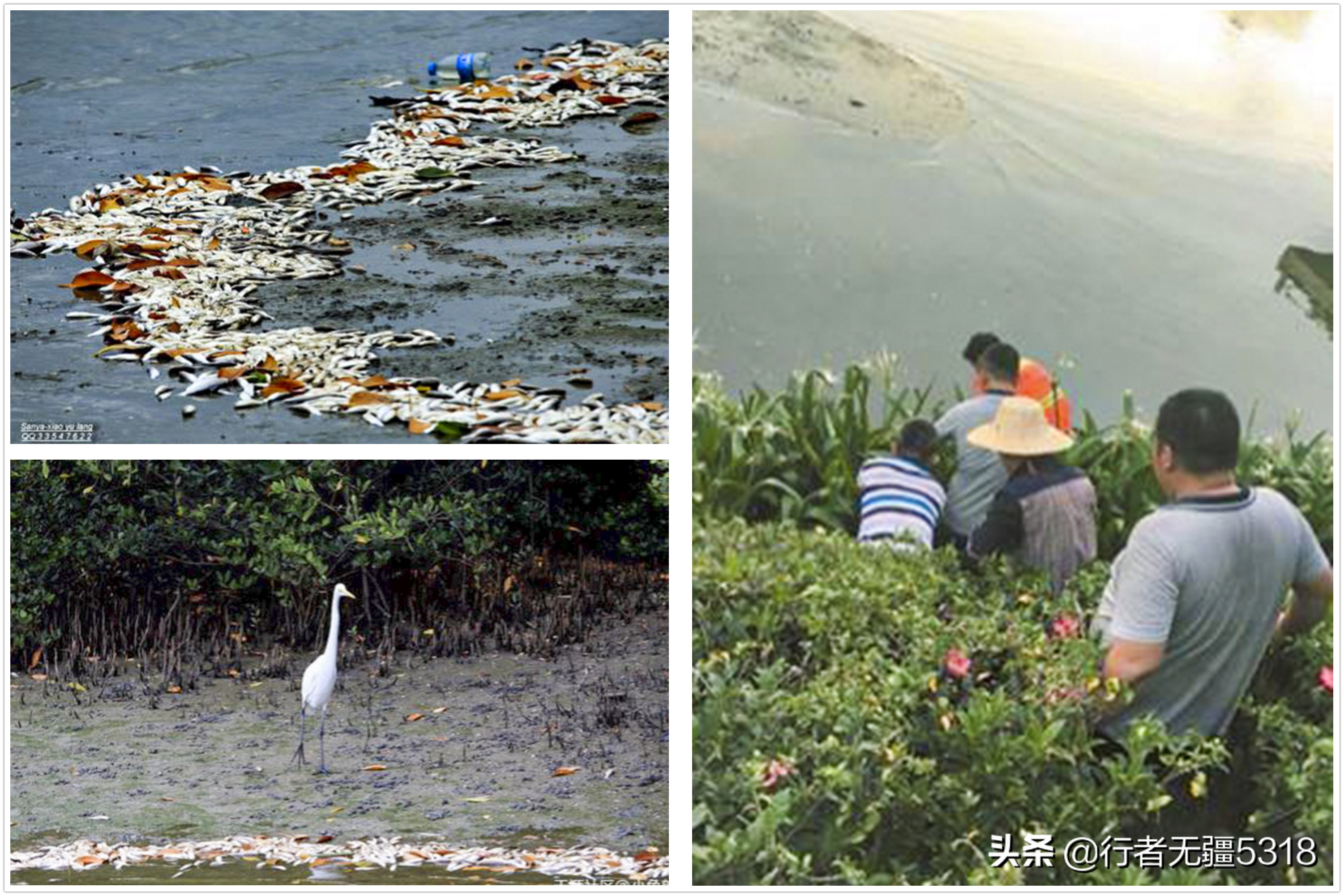 三亚天涯海角风景区游记散文,三亚海边游记散文