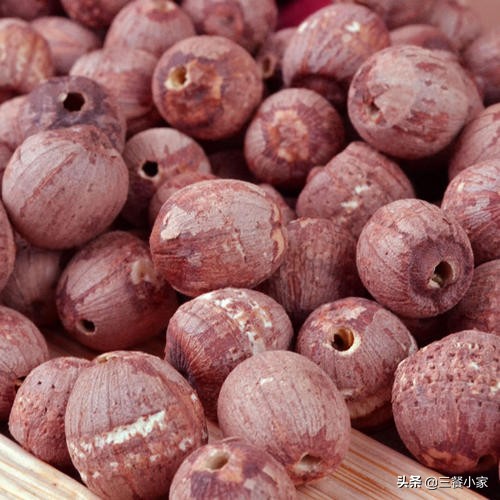 莲蓉月饼是什么做的,莲蓉月饼的莲蓉是什么东西