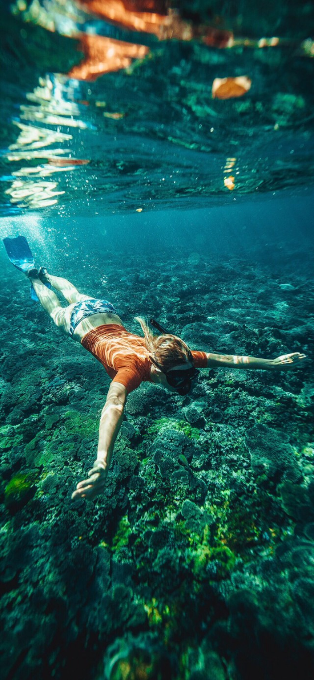 优阿壁纸135期丨分享一组超清晰的海底世界全面屏壁纸