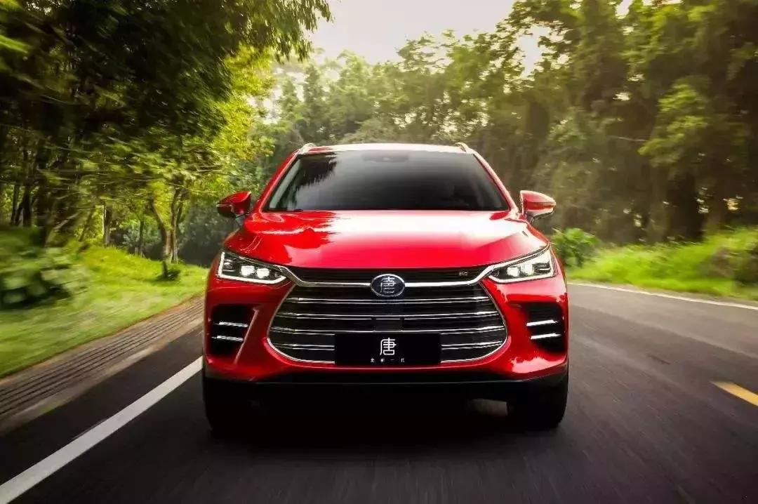 万绿丛中一点红菏泽,万绿丛中一点红为什么那么红