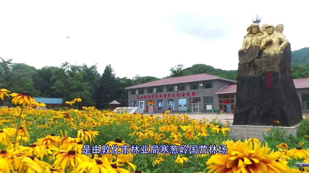 敦化十一旅游注意事项,敦化十一自驾游最值得去的地方