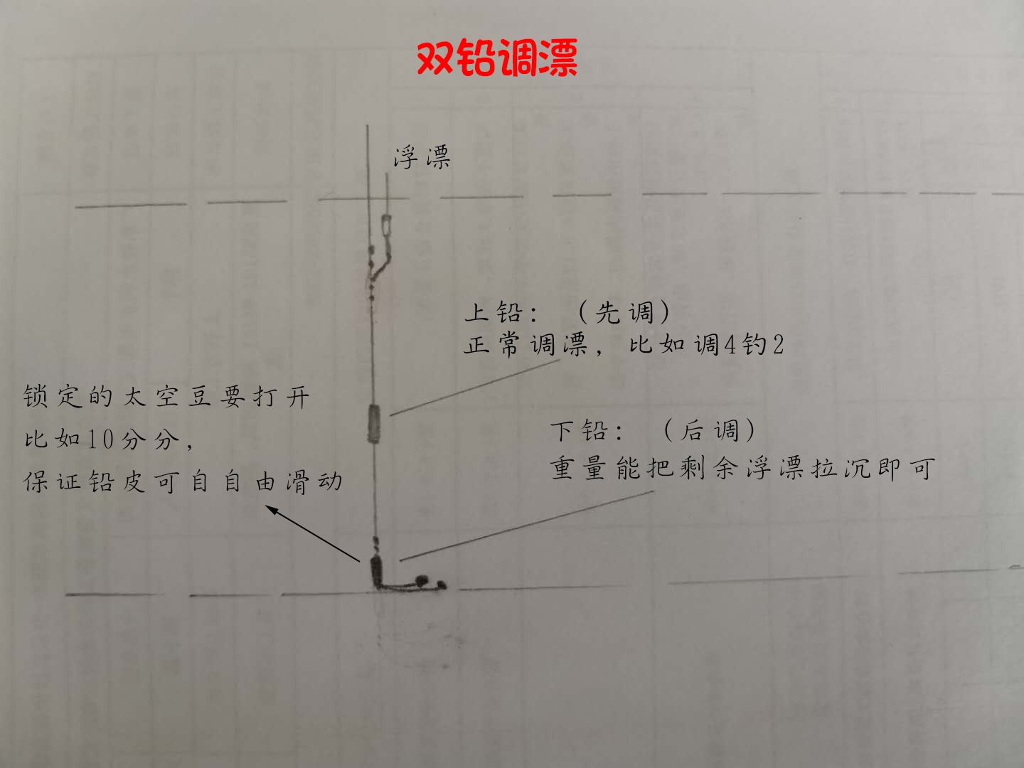 如何钓鲮鱼教你一招,钓鲮鱼饵料怎么搭配