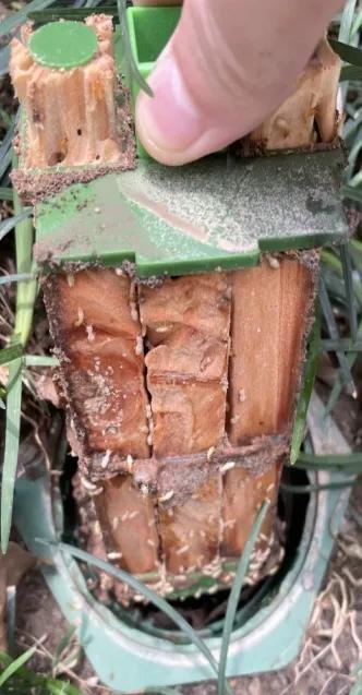 是谁在敲打我窗段子,是谁在敲打我窗片段