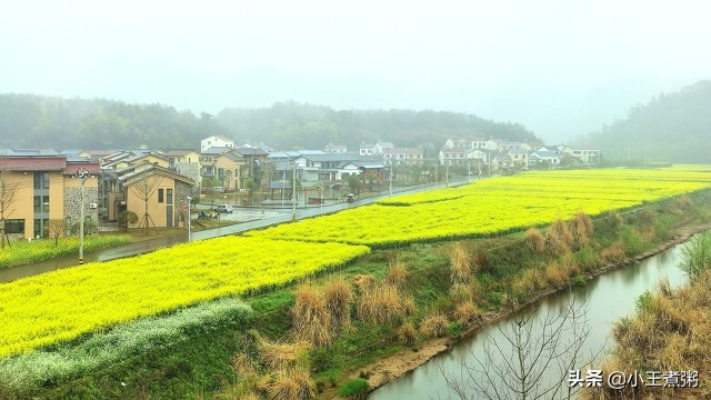 家里拆迁父母不给钱给子女,老家拆迁父母一分没给女儿