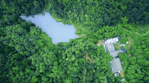 疫情结束房子会降价吗,疫情结束后又发生了什么事