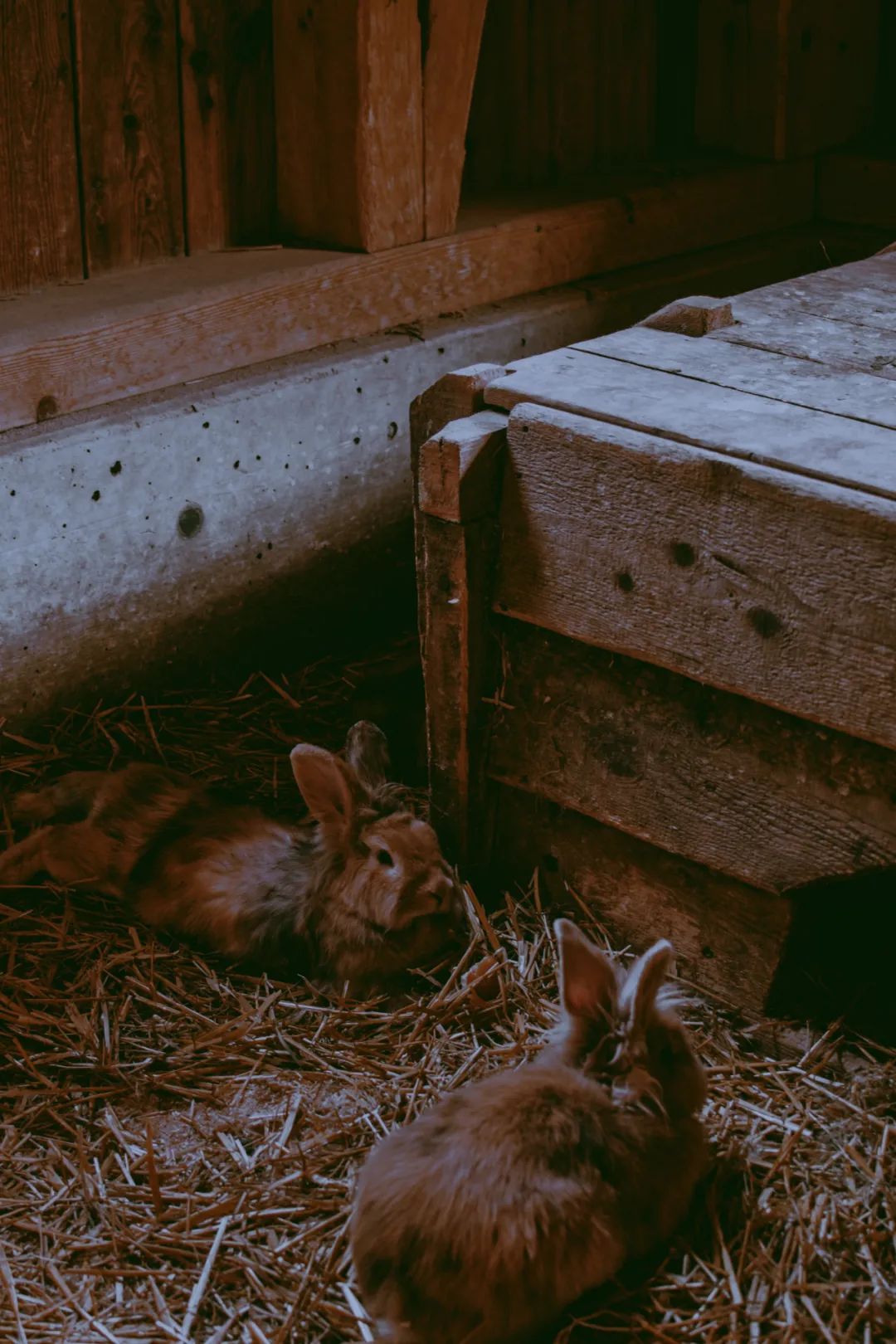 ins风暗黑图片,ins暗黑风格照