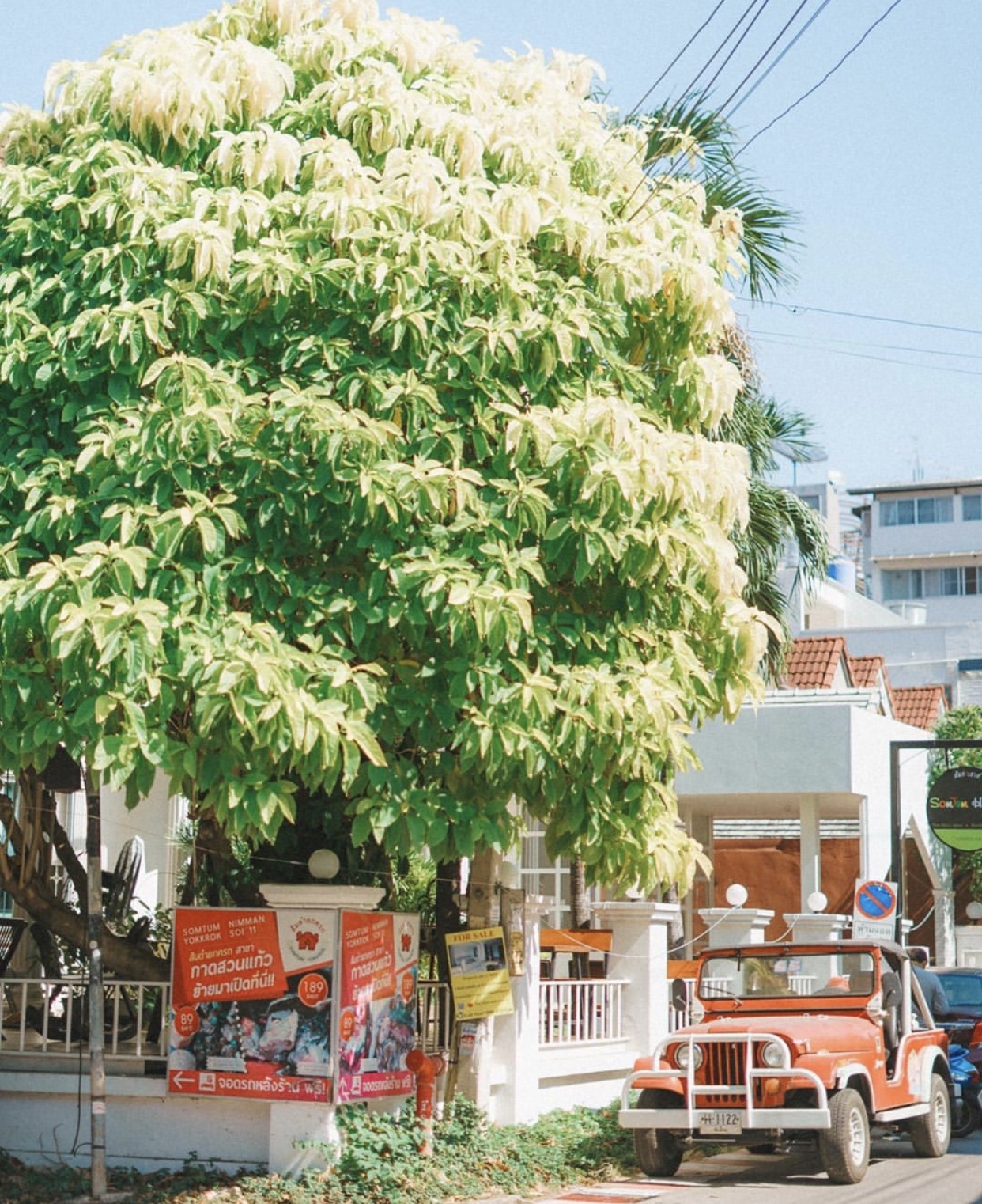 曼谷普吉岛购物攻略,泰国购物去曼谷和清迈哪里好