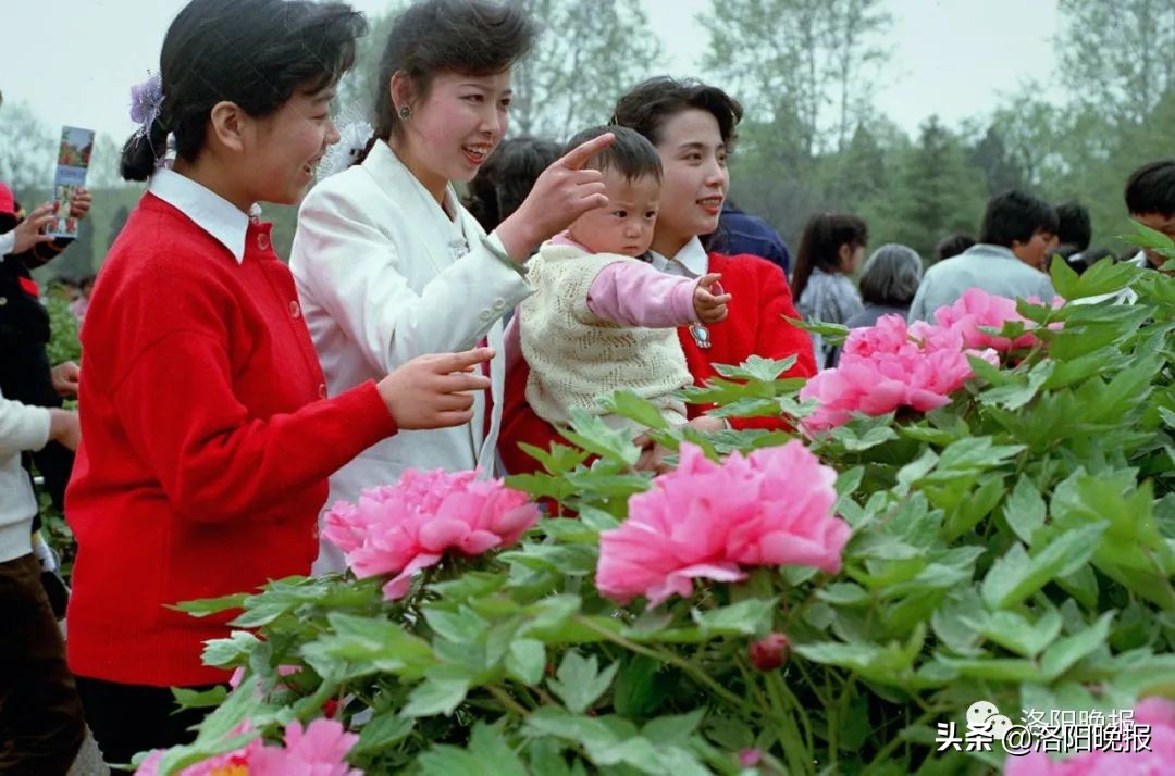 一分钟看河南洛阳,一日看遍洛阳