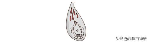 狗狗吃草吃土怎么回事,狗狗吃草呕吐黄沫和草应该怎么办