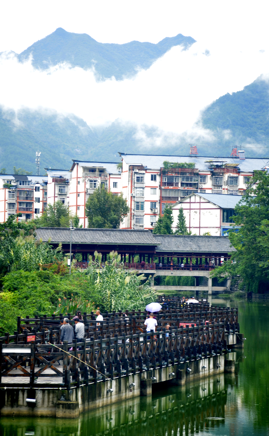 旺苍发展比较好的镇,旺苍发展前景怎样