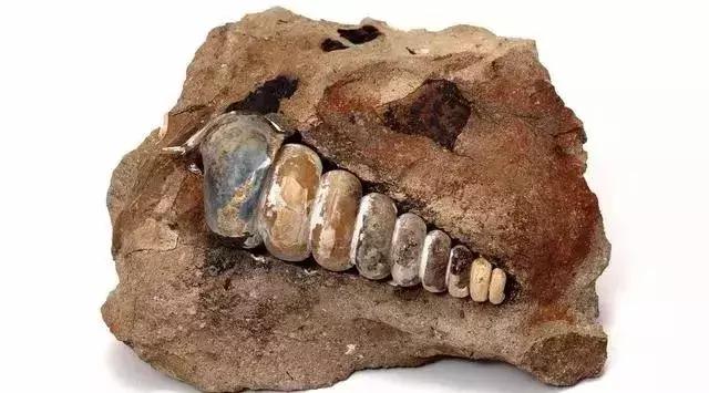 阿拉善戈壁滩玛瑙奇石图片,戈壁滩上的奇石美到令人窒息