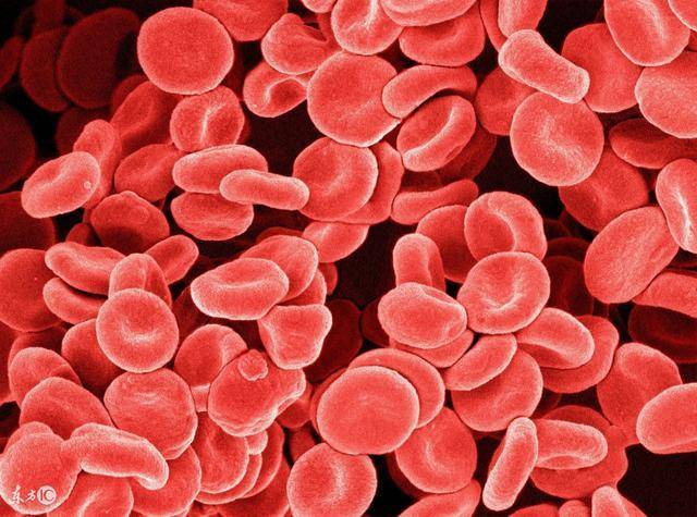 39岁女性献血有害健康吗,女性献血会老得快吗