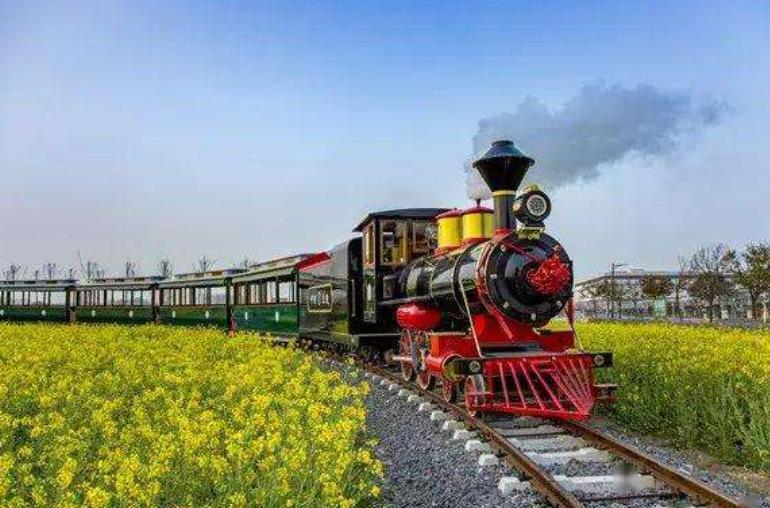 山东临沂菜园,临沂哪个县发展前景好一些