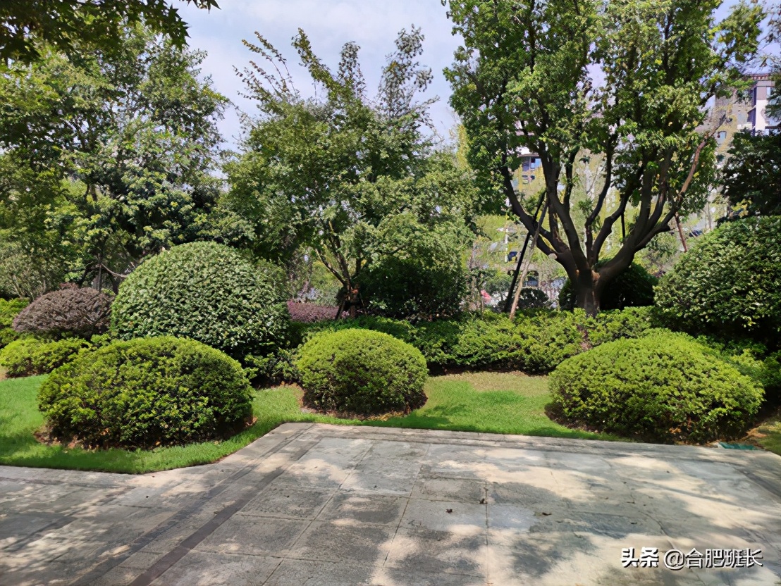 实探瑶海区一个车库发霉的楼盘,瑶海区金科海昱东方属于哪个街道