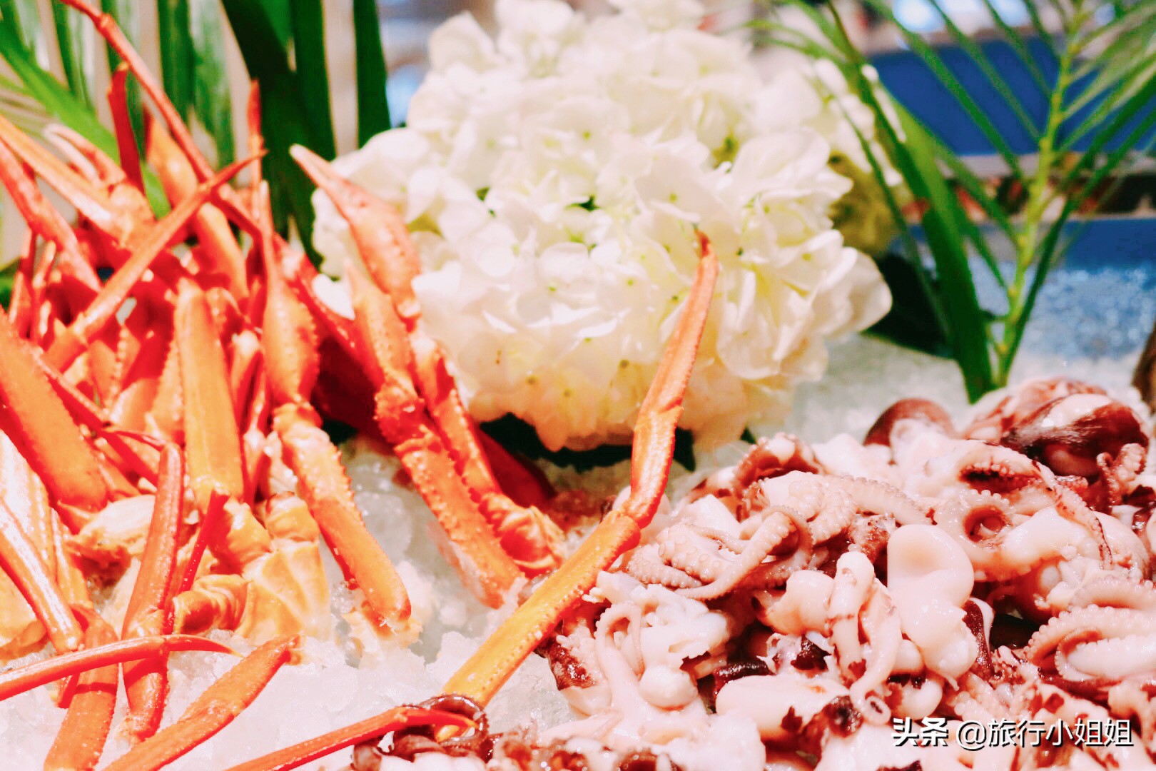 住在梦幻城堡,抚仙湖海豚湾住宿攻略