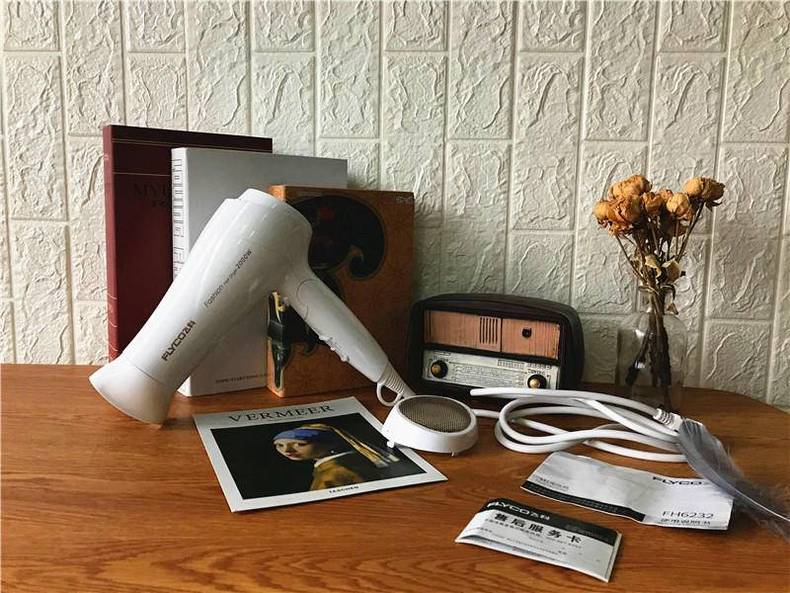 飞科吹风机温控,飞科吹风机负离子六档1800