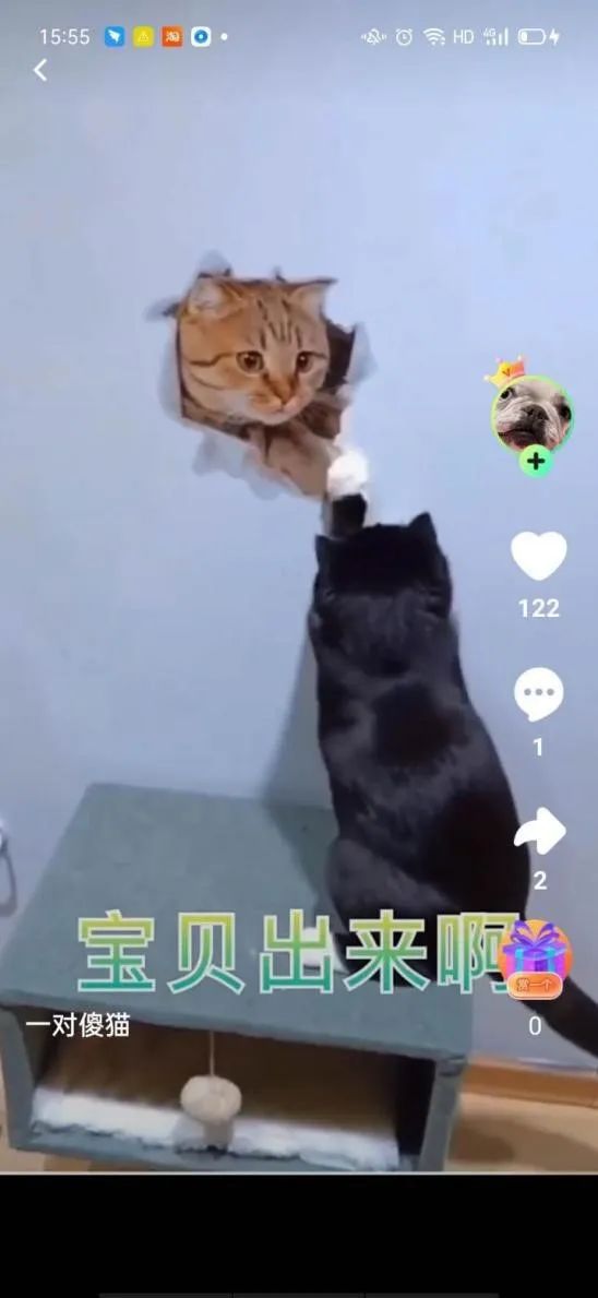 秘乐小视频短片,秘乐视频项目