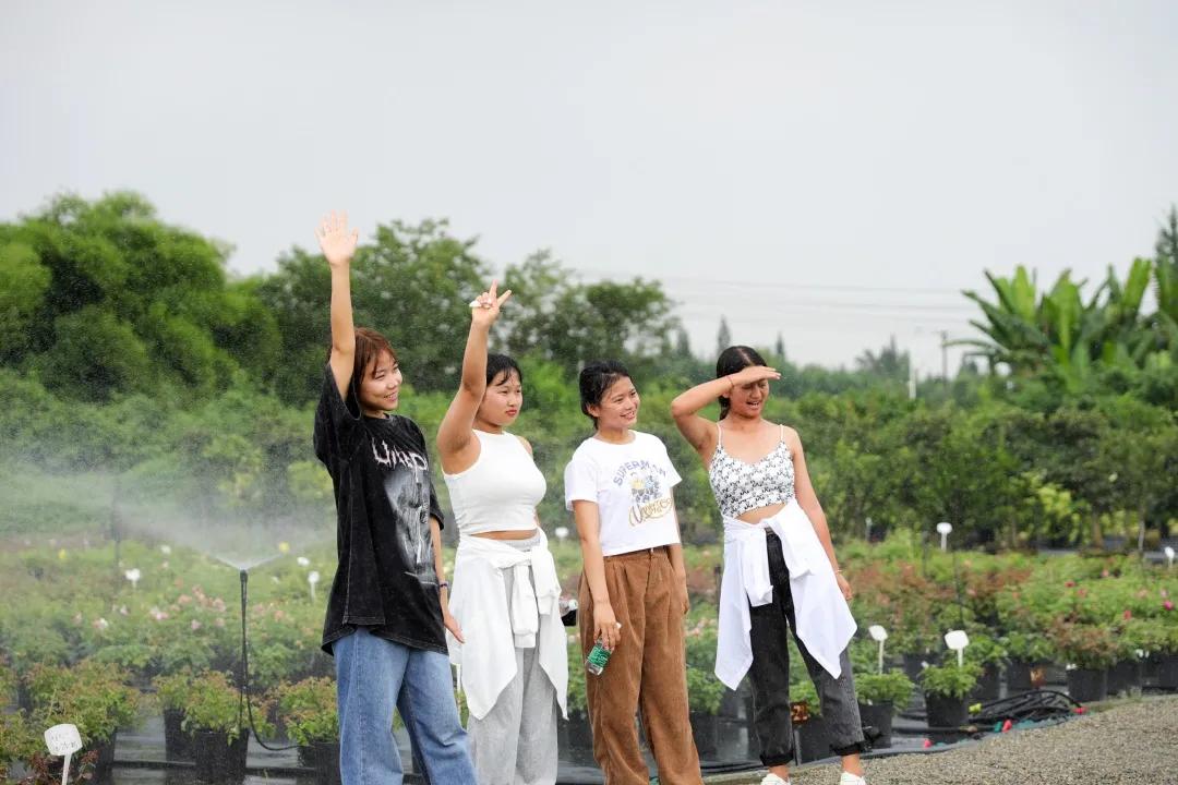 荷兰小伙和中国女孩,荷兰小伙和中国姑娘跨国恋