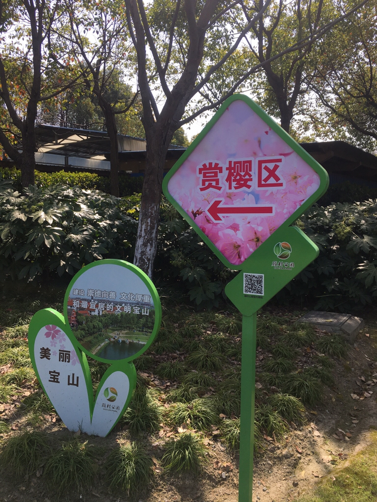 春天必打卡的樱花胜地顾村公园,顾村公园樱花照片视频