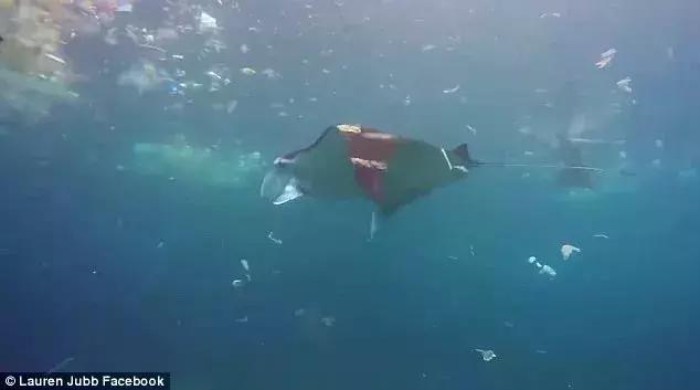 巴厘岛最垃圾的海滩,巴厘岛度假胜地