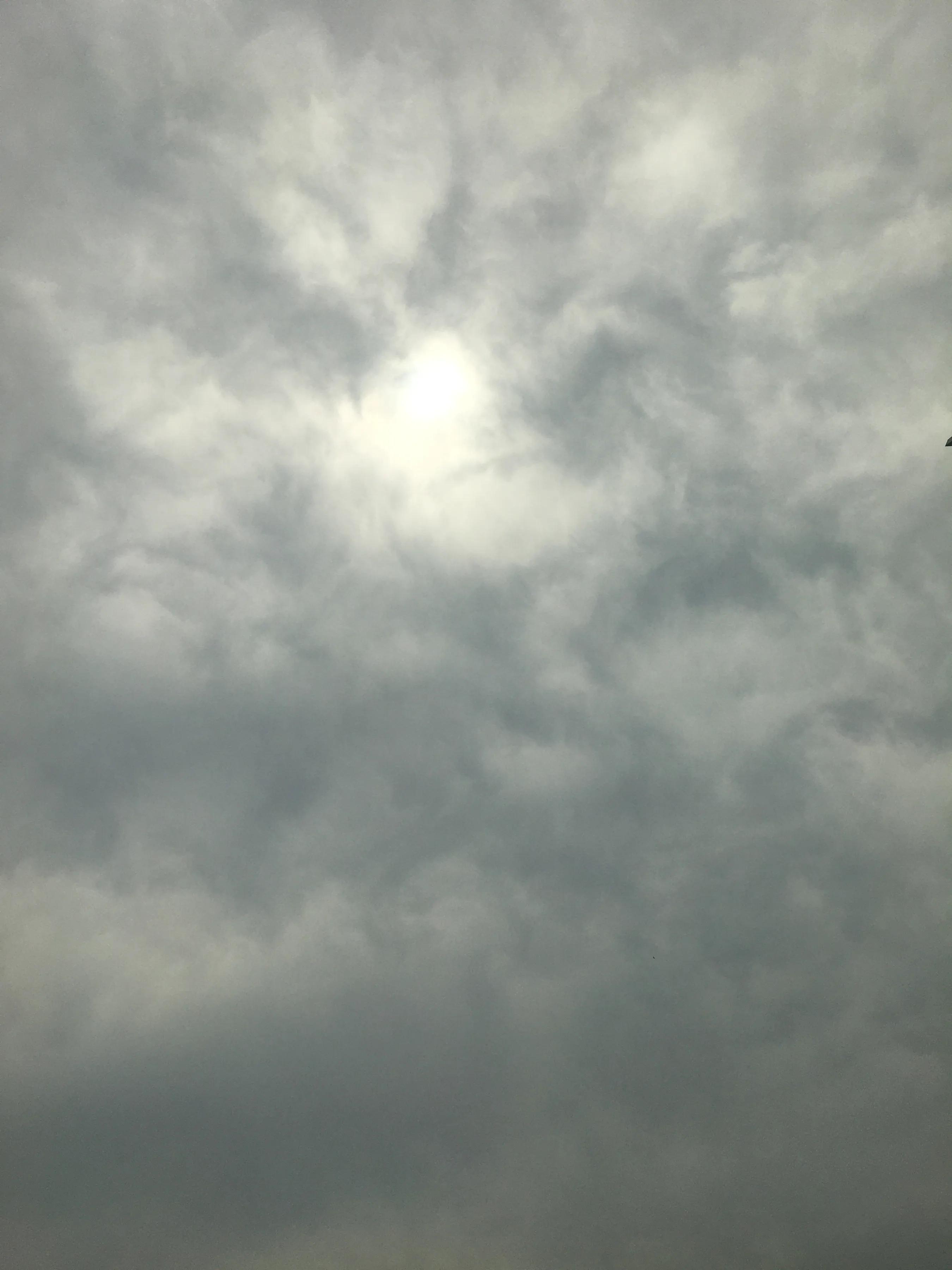 物种起源纪录片,物种的起源全文免费阅读