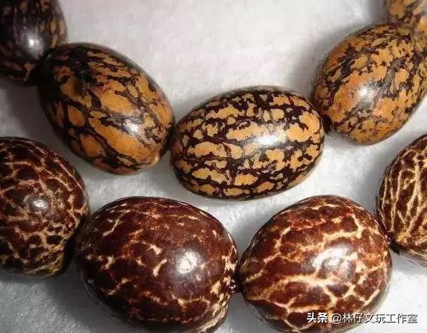 文玩菩提各种盘玩变化,文玩菩提的种类图解