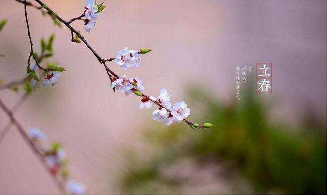 2020年双春年还有很多奇特的日子,明年会有双春年吗