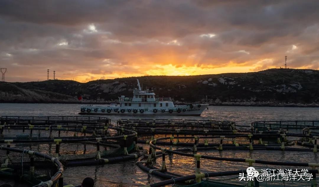 娴欐睙鏃ユ姤娣卞害鎶ラ亾,娴欐睙鏃ユ姤寮曢鏂扮殑鑸▼