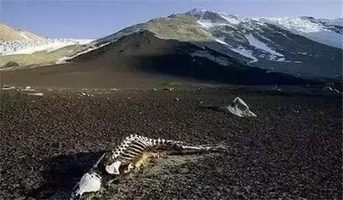 中国地理知识大全及讲解合集,一口气读懂中国地理