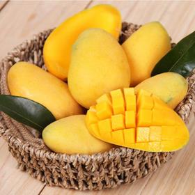 三种芒果最便宜,买芒果的正确方法