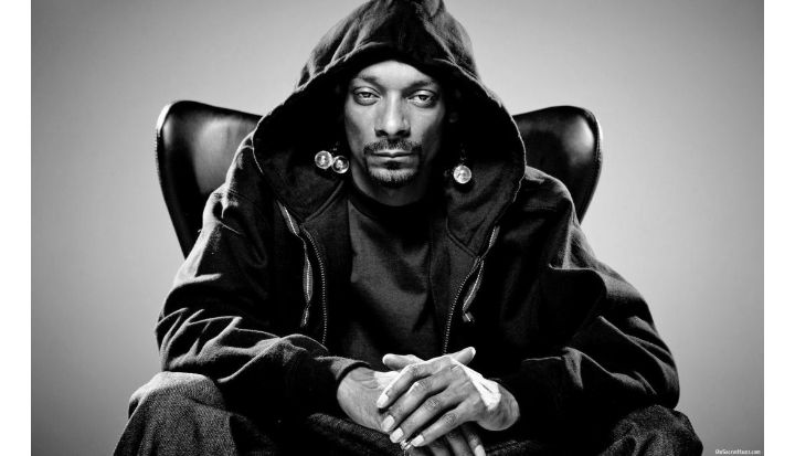 鍝堥浄鍖府椋庢牸鍑鸿,鍖府鍝堥浄鏈嶈