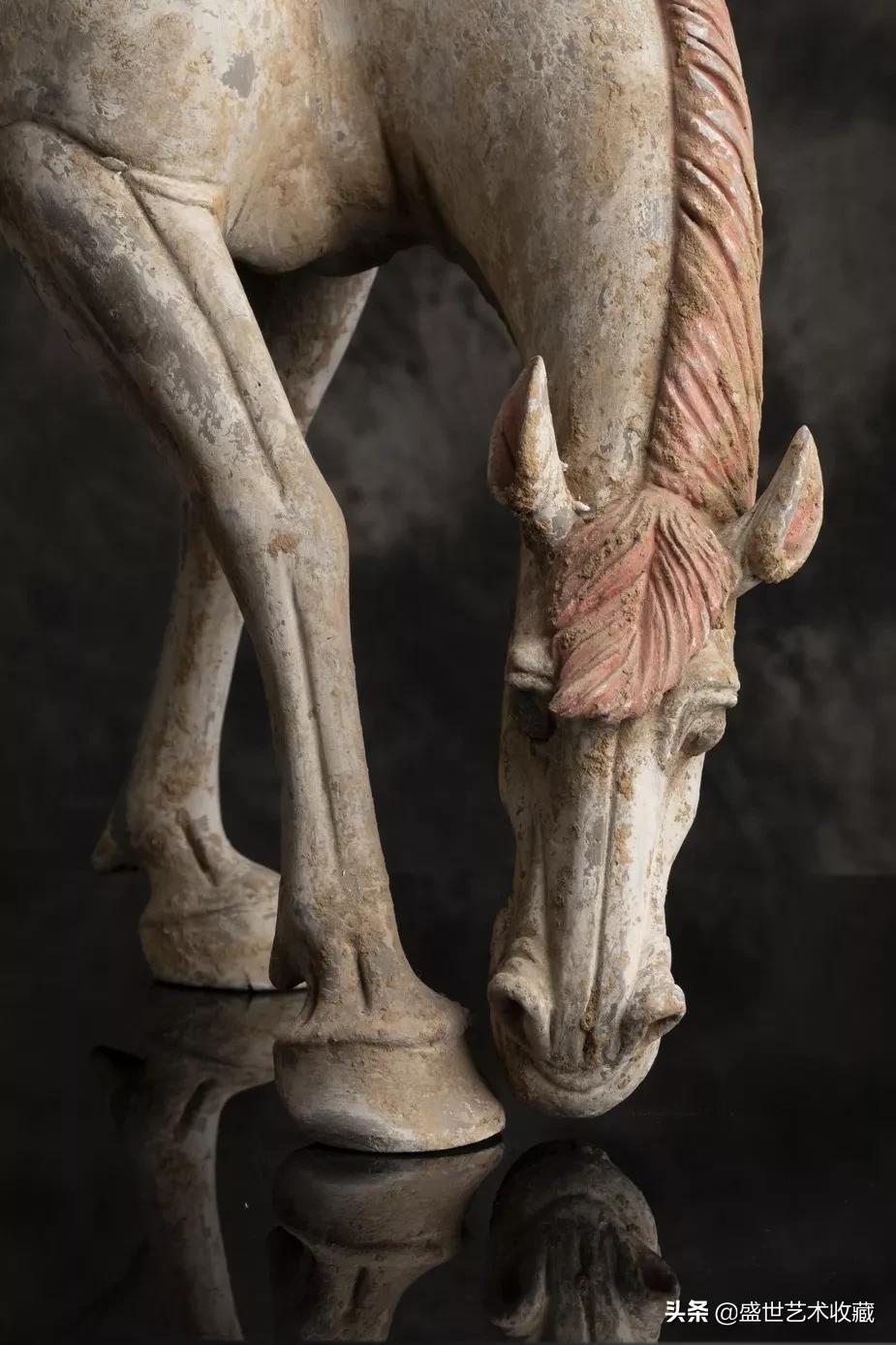 千里马常有而伯乐难寻经典视频,伯乐常有千里马难寻