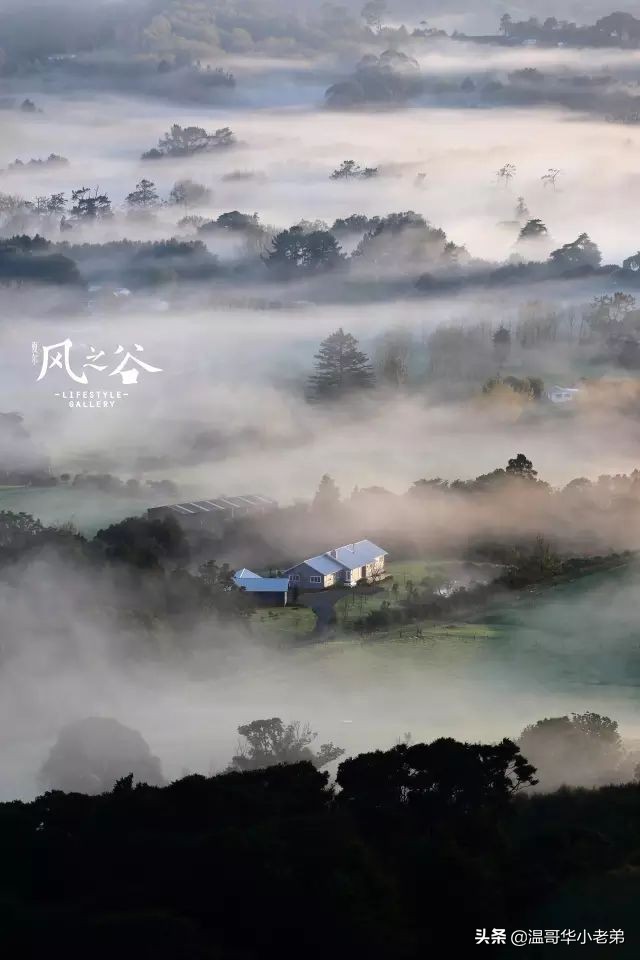 十几年的夫妻感悟,十年的老华人含泪感悟