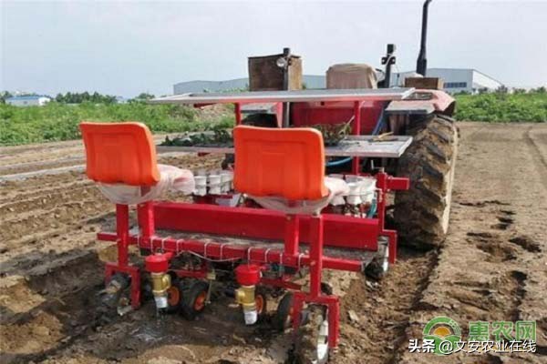 秧苗栽植机厂家报价,种植机械报价