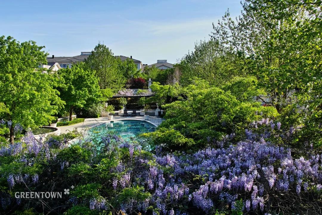 绿城印象南宁市江南区,绿城印象楼中楼