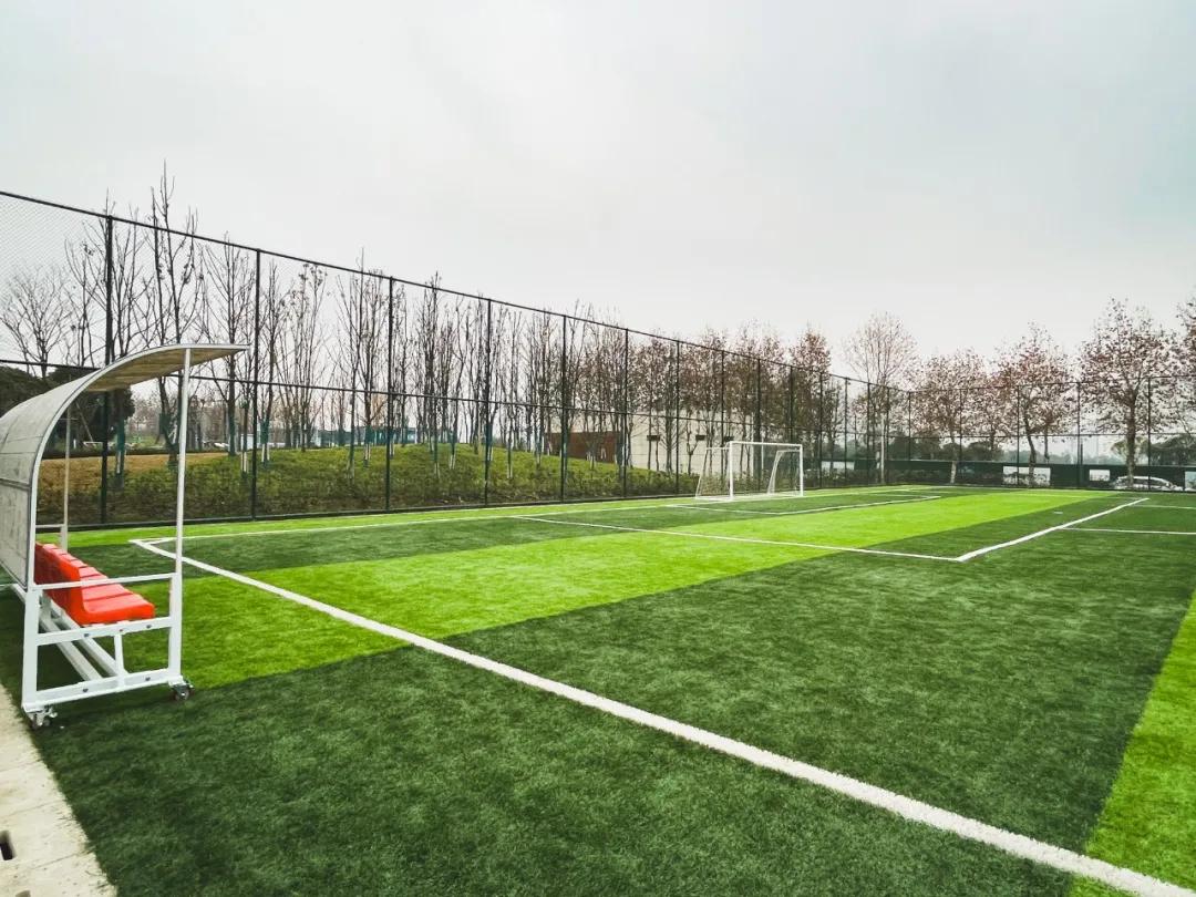 最好的足球场地是哪里,最好的足球场地在哪里