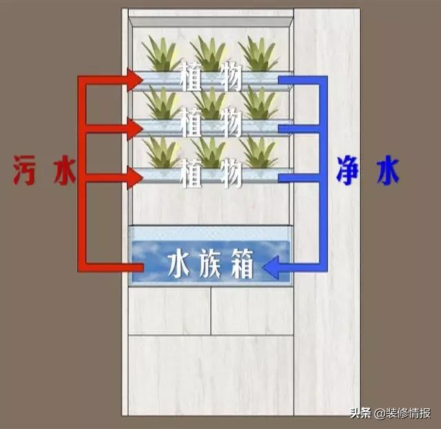 他用14天改造6口之家，只为给她一线生机