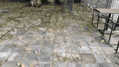 iphone11最新爆料价格成最大优点,iphone11系列测评