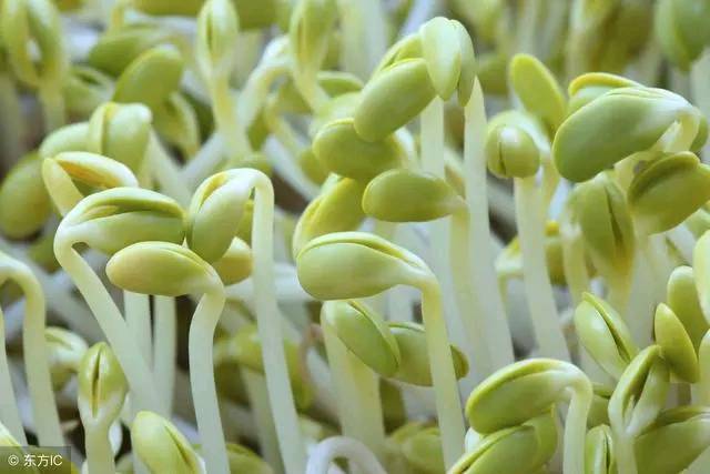 婚后闪婚的真实感受,闪婚跟恋爱的区别