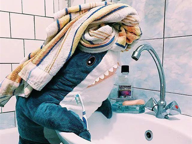 这个来自英国的洗衣机品牌，让火遍俄罗斯的宜家鲨鱼“爱上洗澡”