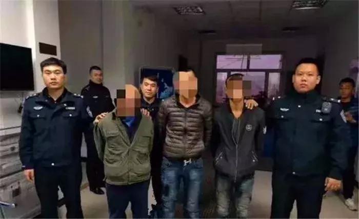 网红飞鼠被非法捕捉，不做检疫便低价出售，专家建议：危险别养！