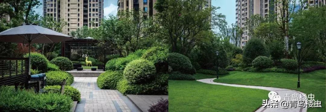 国家级新区成立时间排名,五一新区国家级新区