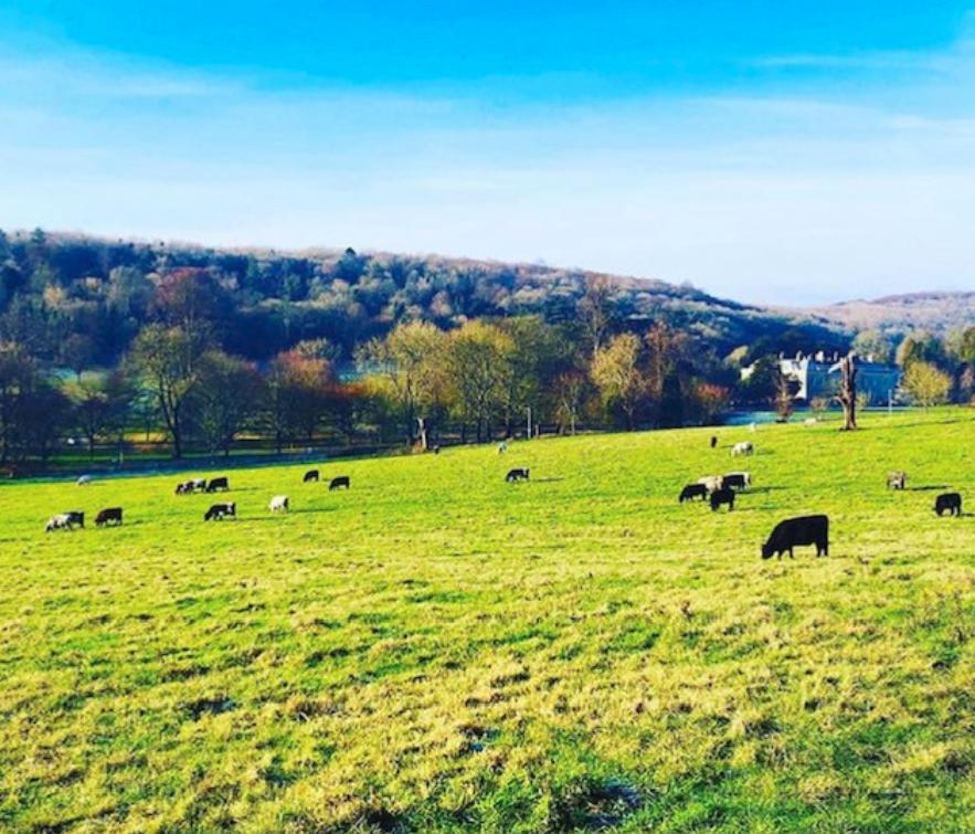 instagram最受欢迎的男模特,instagram最受欢迎的十大网红